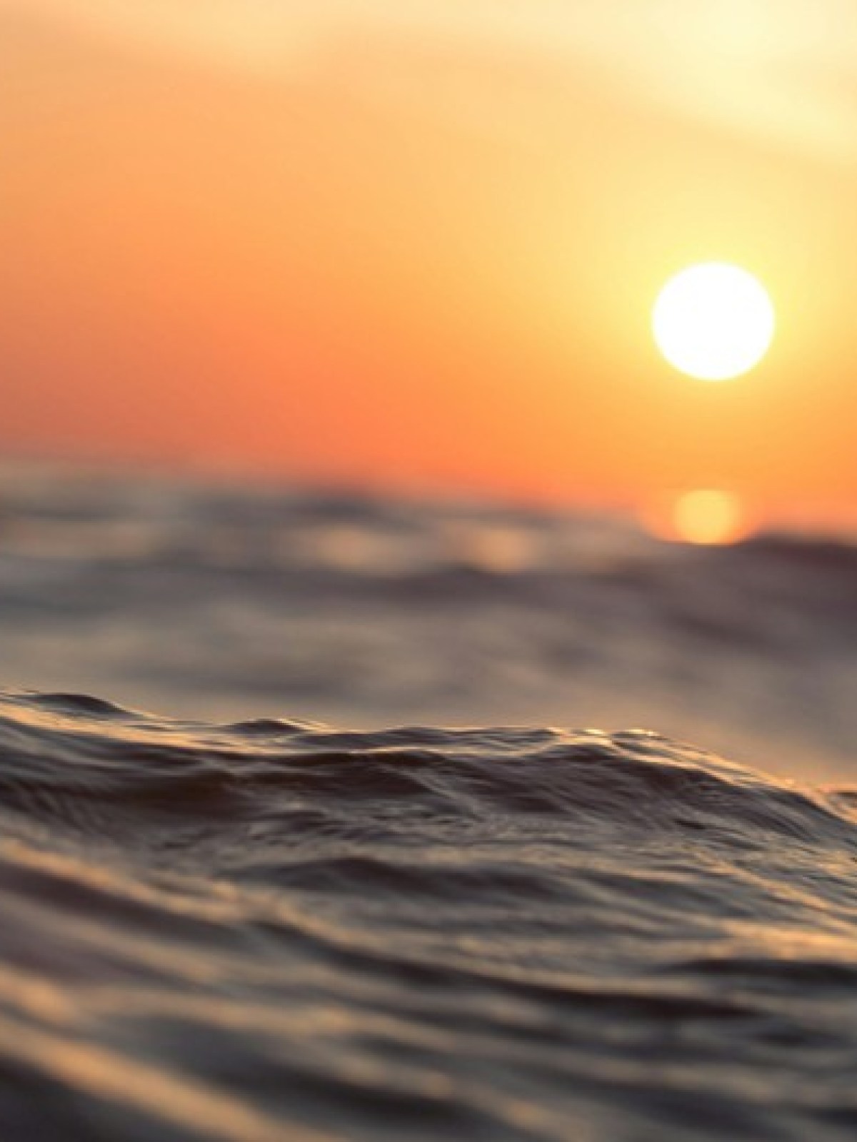 a sunset in the background